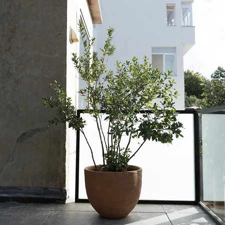 Holiday home Agnes Ostend